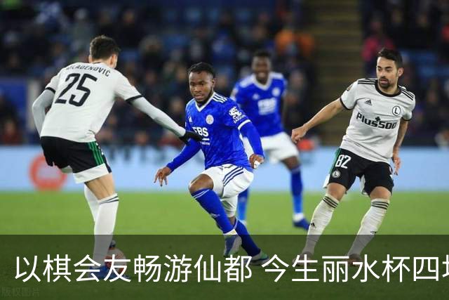 以棋会友畅游仙都 今生丽水杯四地围棋交流活动圆满落幕