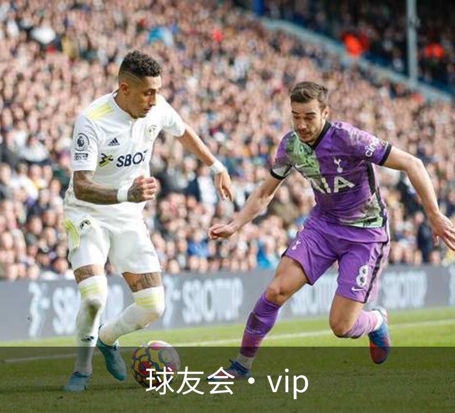球友会·vip概况
